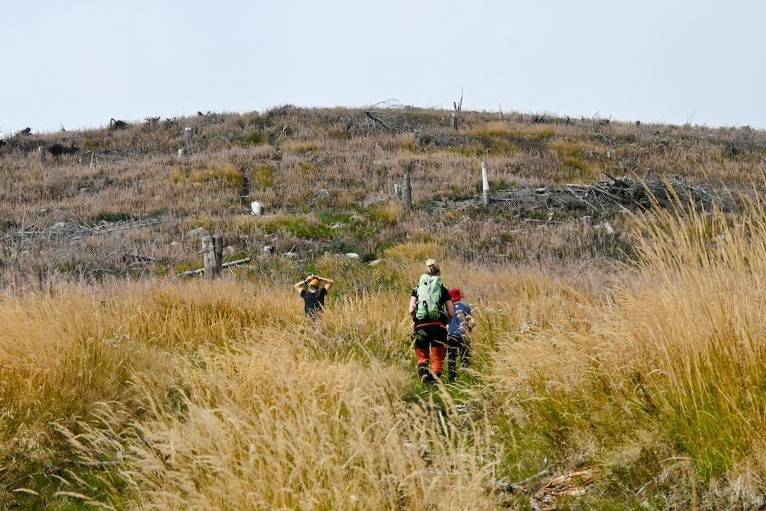 Flo, Melanie und Ben wandern durch die Gräser