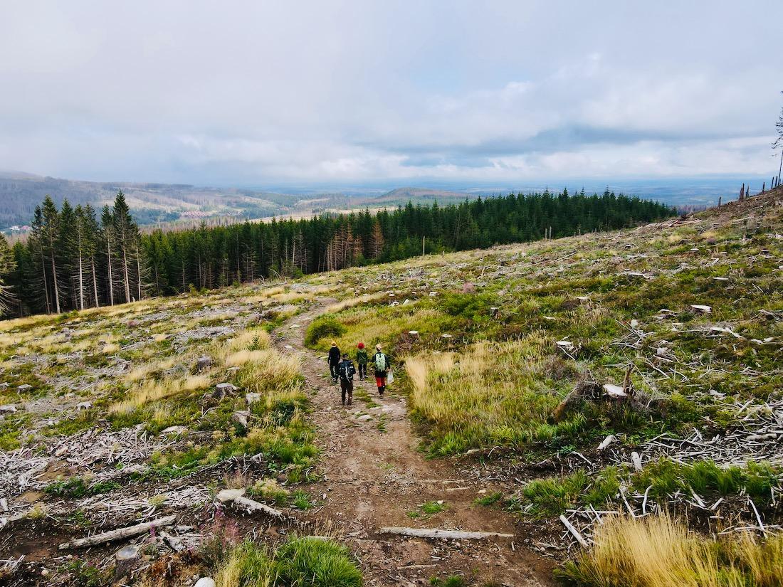Fravely wandern im Harz Richtung Schierke