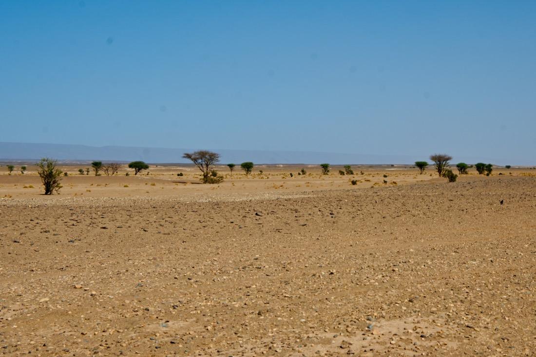 Die marokkanische Steinwüste