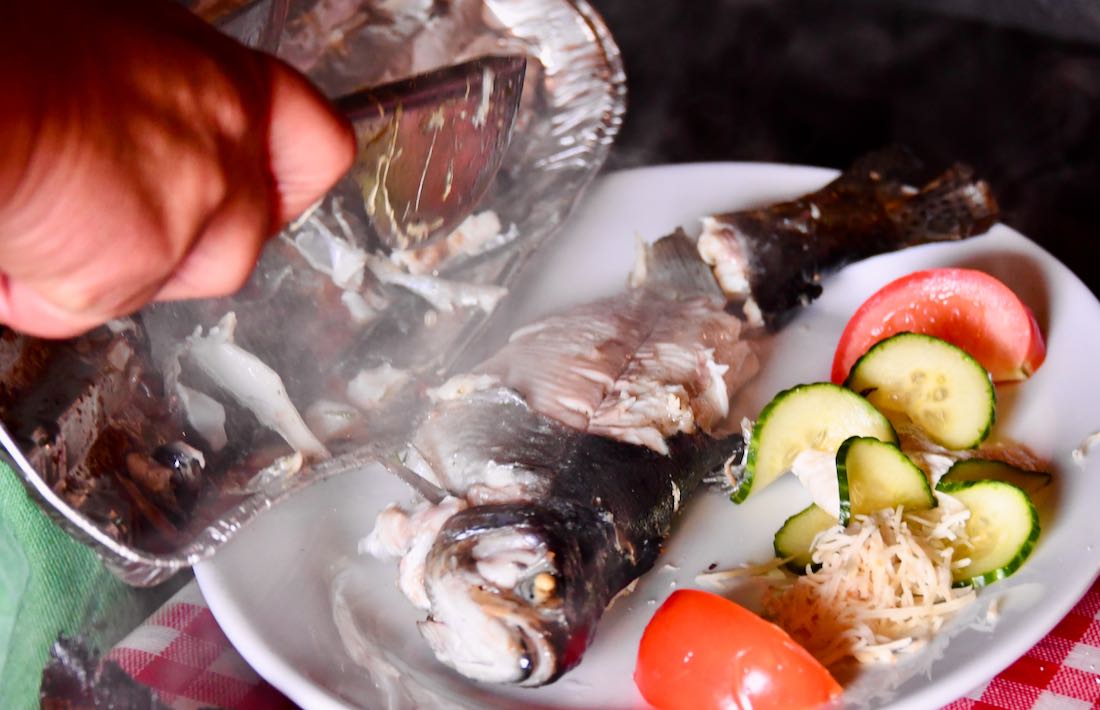 Die gegrillte Forelle