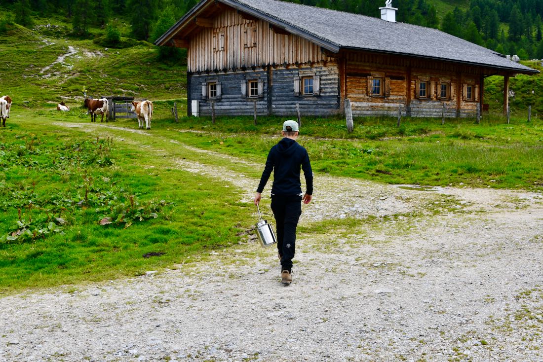 Flo geht zum benachbarten Bauern und holt Milch