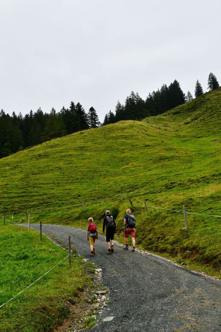 Wandern in Fieberbrunn