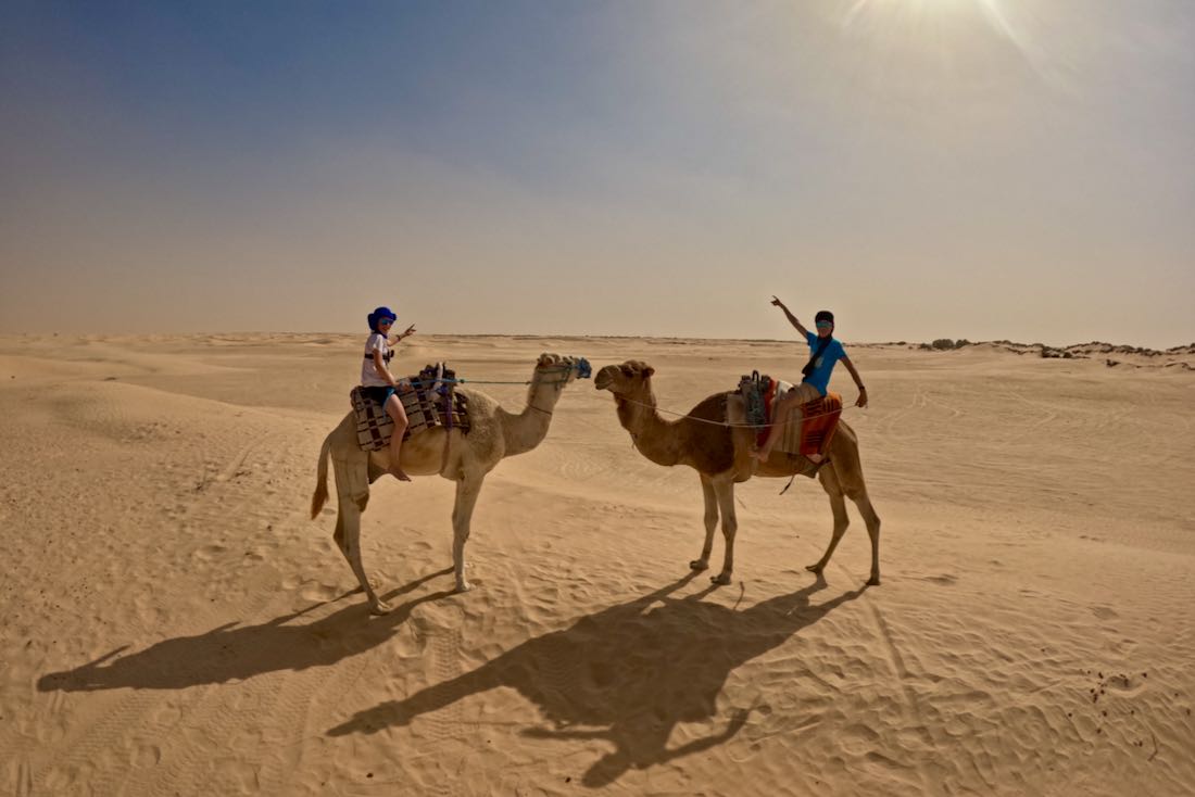 Ben und Flo beim Kamelreiten in Douz