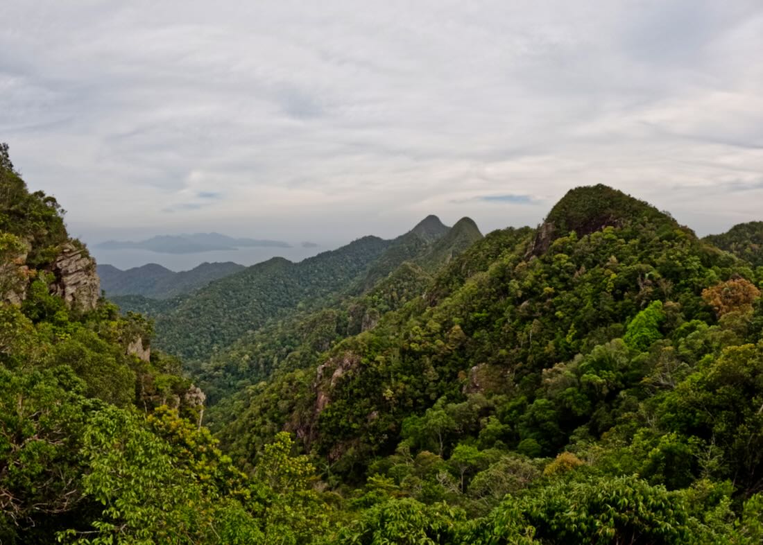 Blick in die Berge von Langkawi