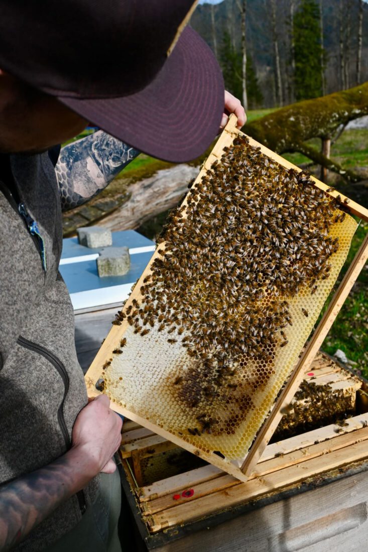 Michi von der Lenggrieser Honigmaufaktur zeigt und einen Bienenstock