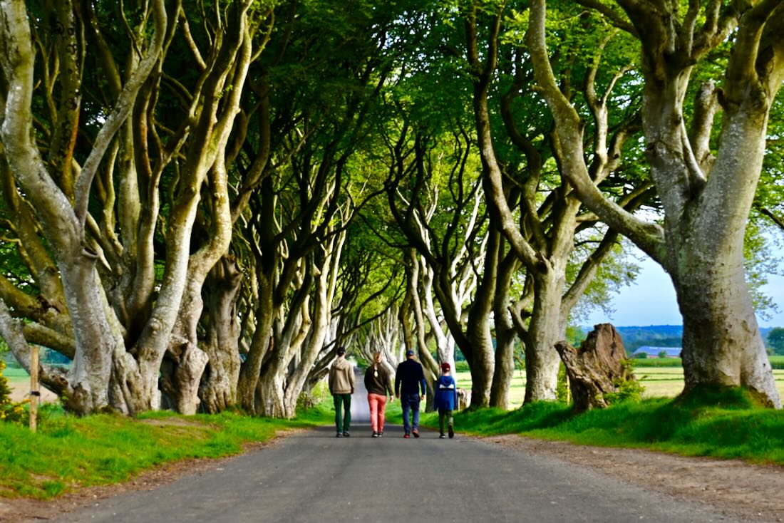 Fravely am The Dark Hedges in nordirland