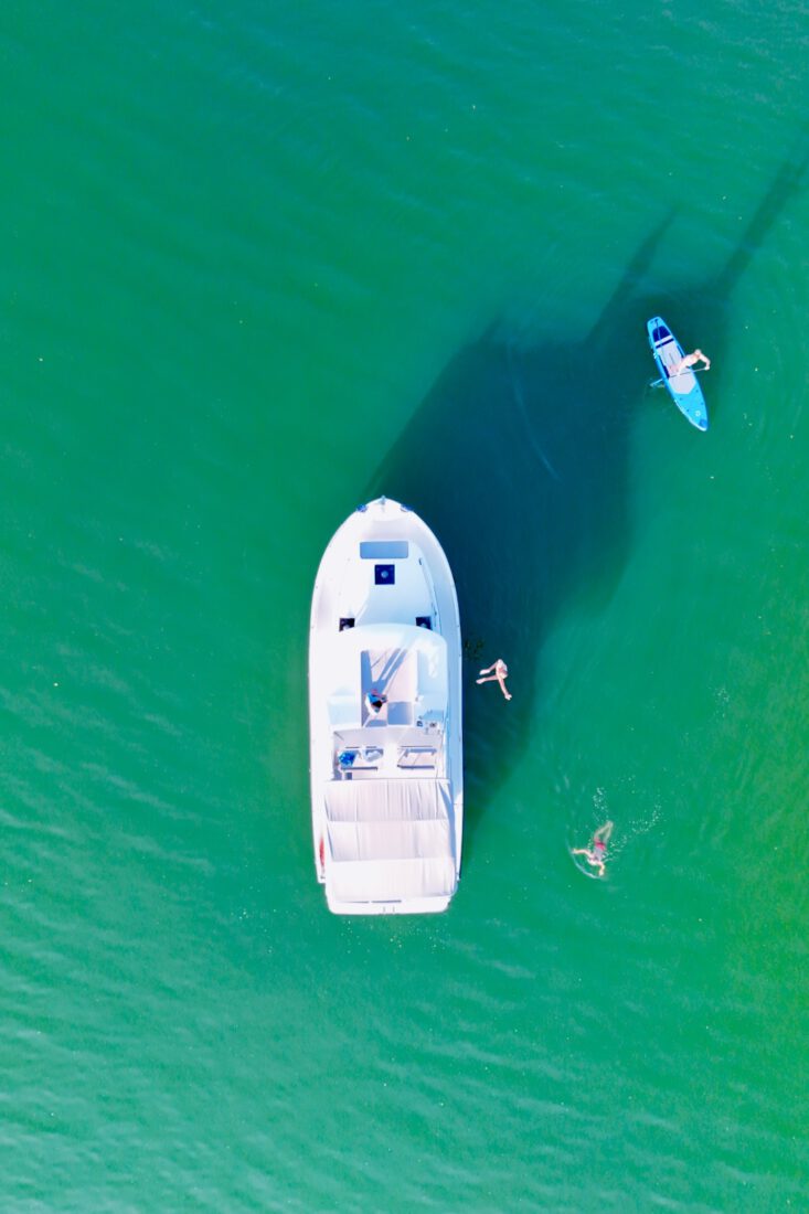Boot von Oben - Benni, Flo springen - Melanie auf SUP