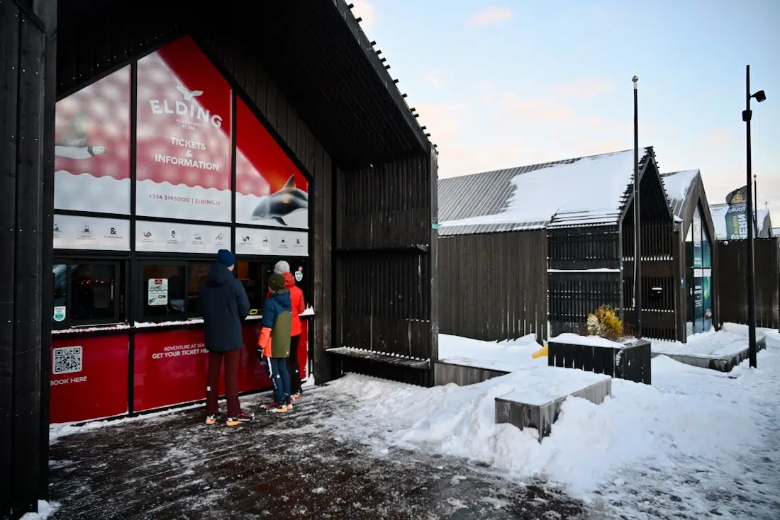 Elding Whalewatching Counter in Reykjavik