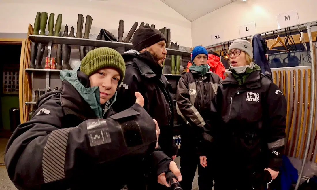 Fravely in Reitanzügfen auf Island bei Ishestar Riding