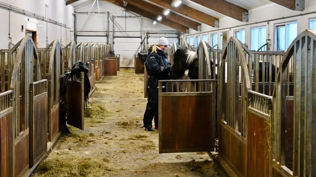 Melanie im Stall von Íshestar Riding