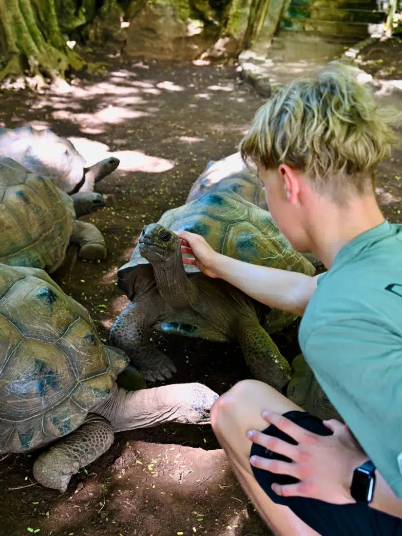 Flo streichelt Schildkröte im Francois Legua Reservat