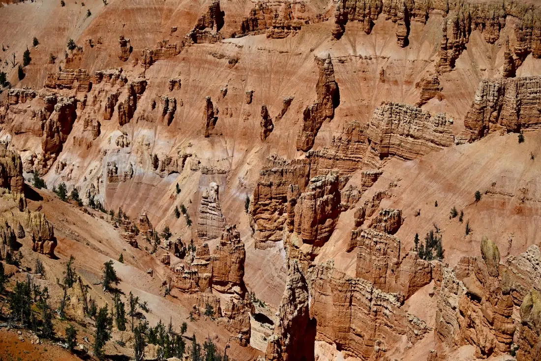 Der Cedar Brake Canyon in den USA