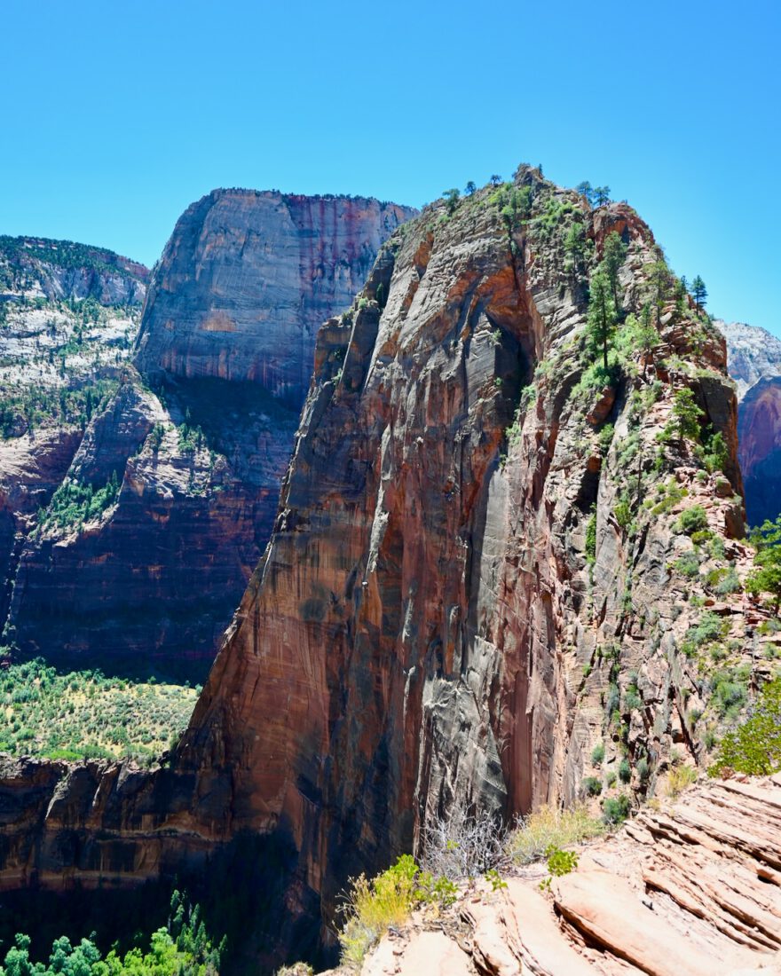 Der Angels Landing Trail im Zion National Park