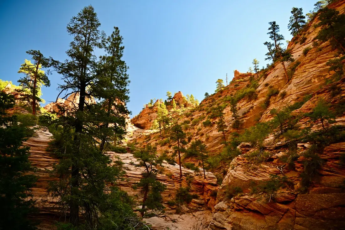 Der Water Canyon in Utah im Zion National Park