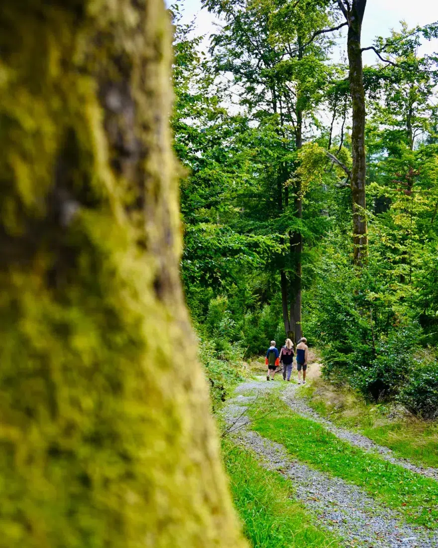 Fravely wandern im Fichtelgebirge