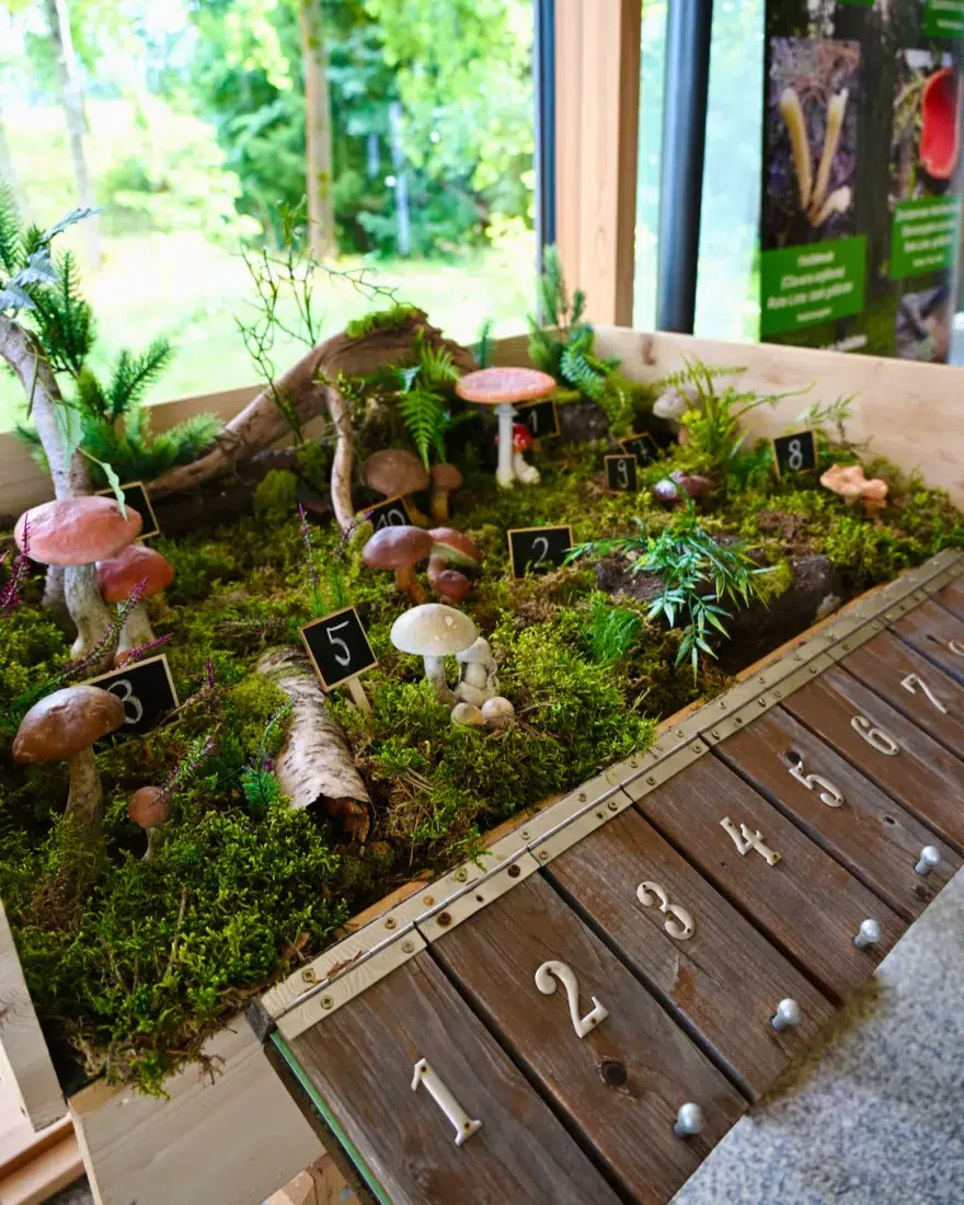 Infozentrum Epprechtstein