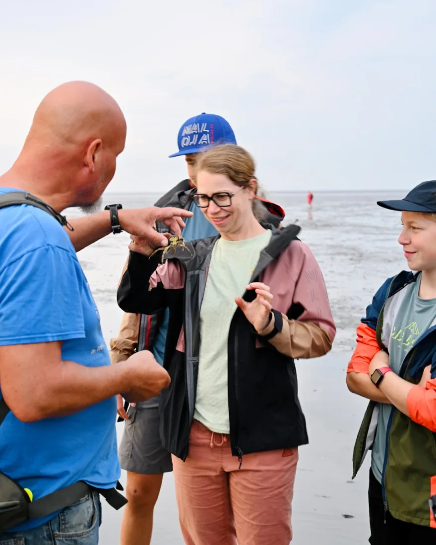 Wattschnack zeigt einen Krebs bei der Wattwanderung