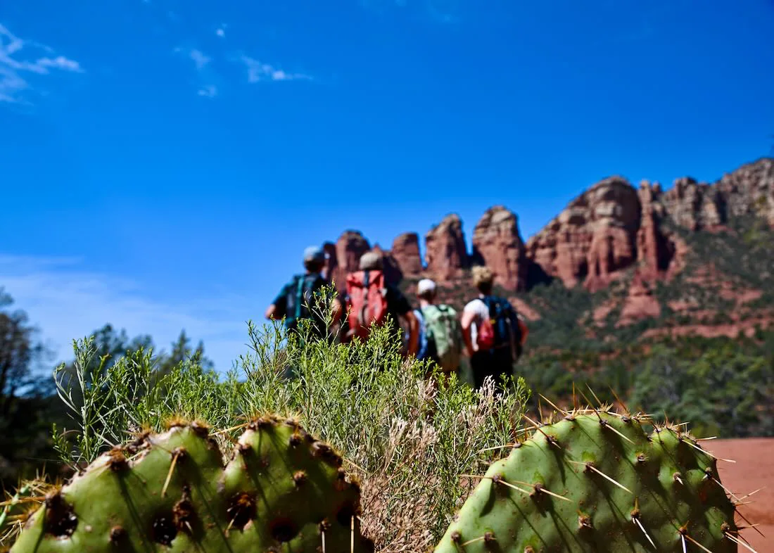 fravely vor Felsformation im Coconino National Forest