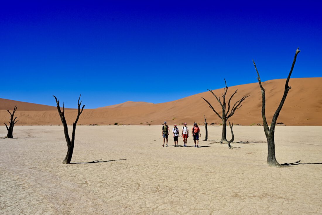 Warum Familien Namibia lieben | Unser kompletter Roadtrip von Sossusvlei über Damaraland bis Etosha