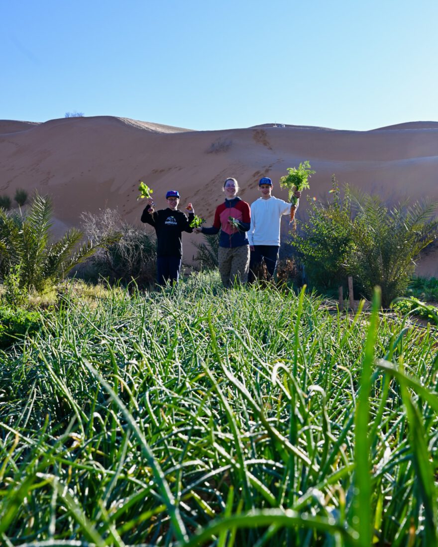 Fravely im Garten des Camp Abdemoula in der Sahara
