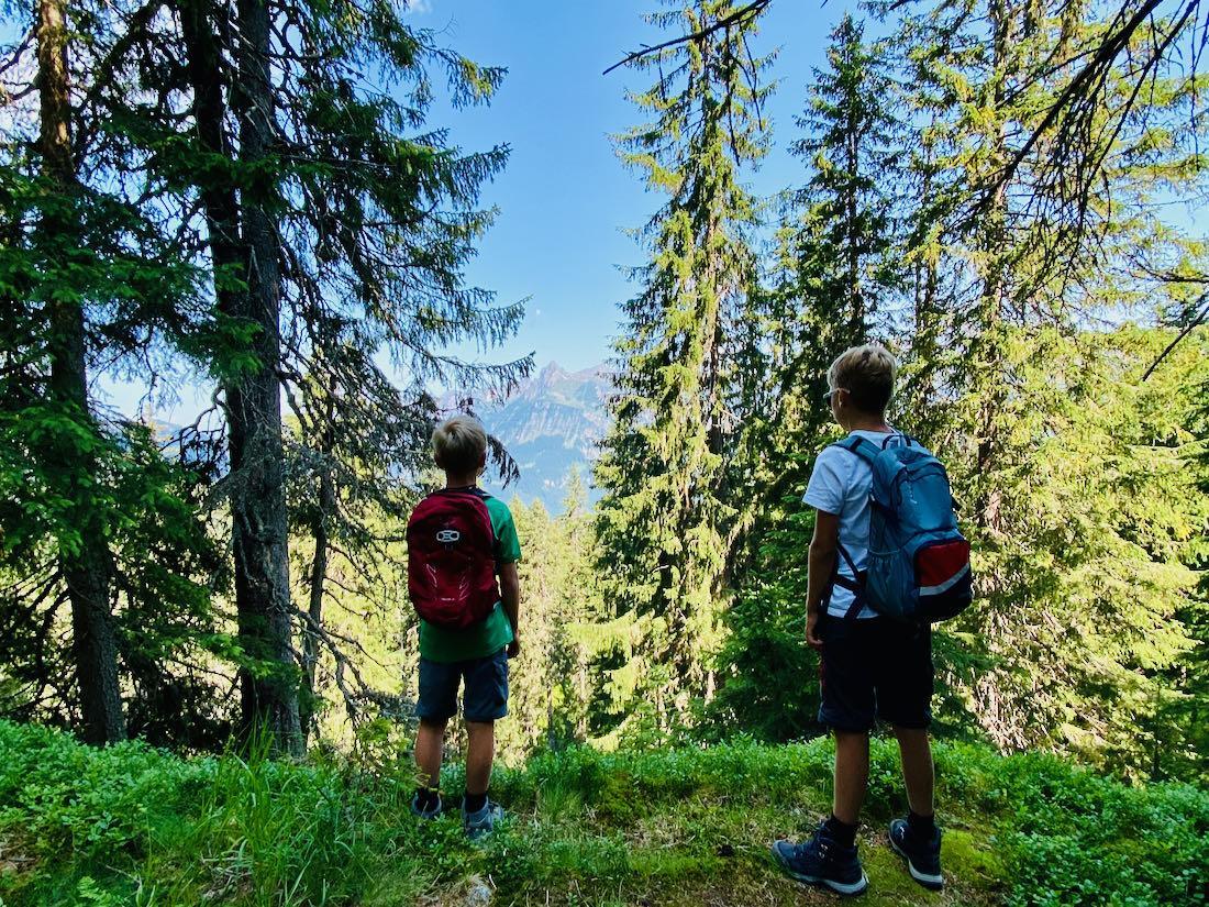 Ben und Flo schauen auf die Montafoner Berge durch die Bäume