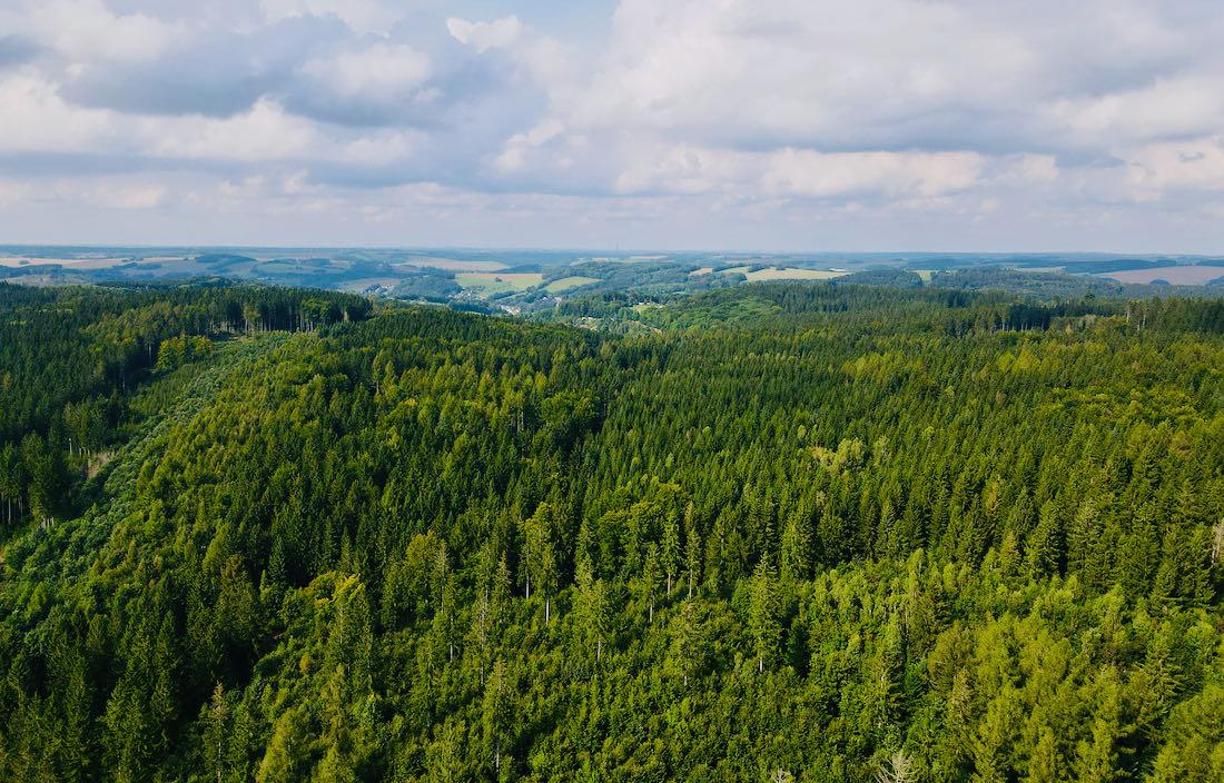 Blick über das Erzgebirge