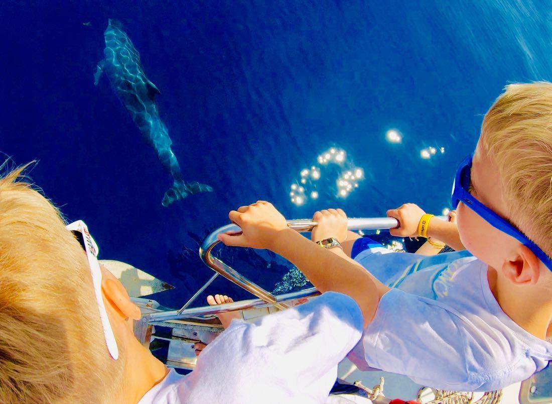 Ben und Flo beobachten Delfin im Mittelmeer