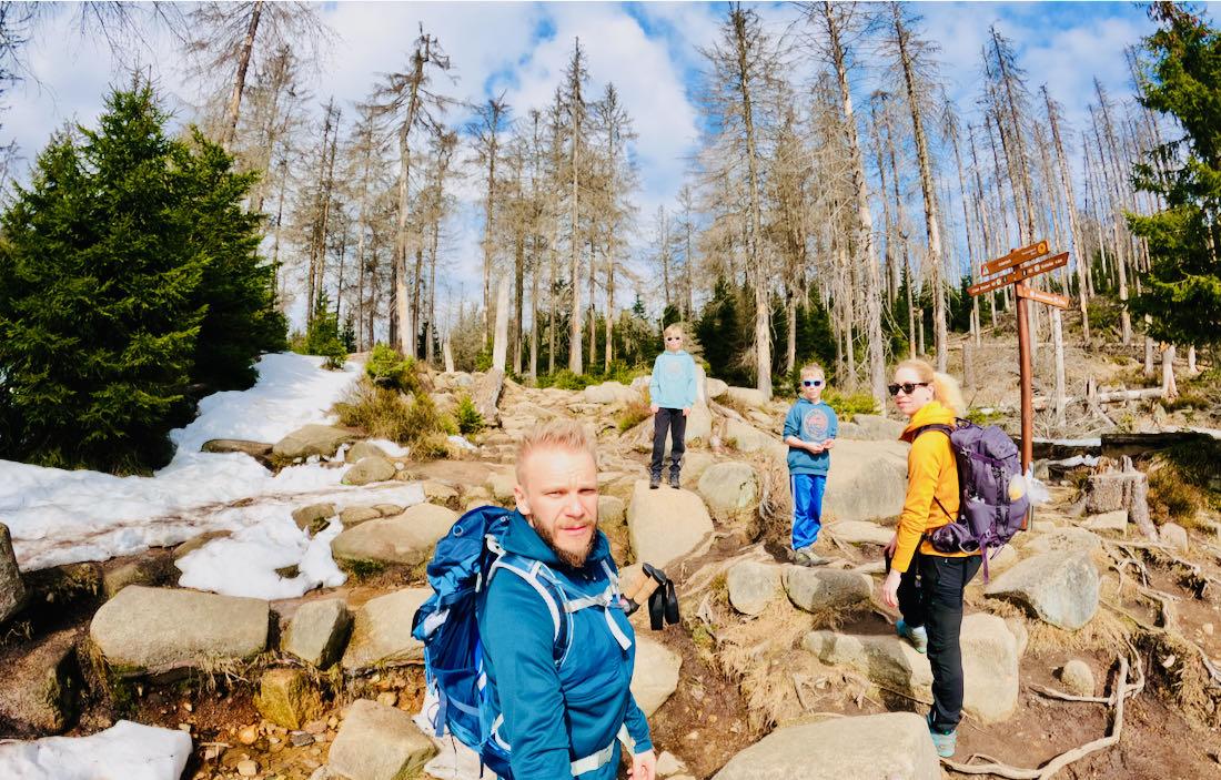 Jetzt wird es felsig am Brocken