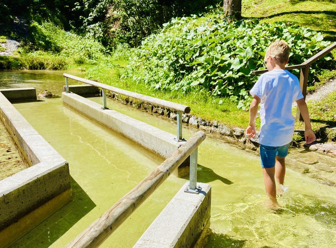 Kneipp an der Seisenbachquelle