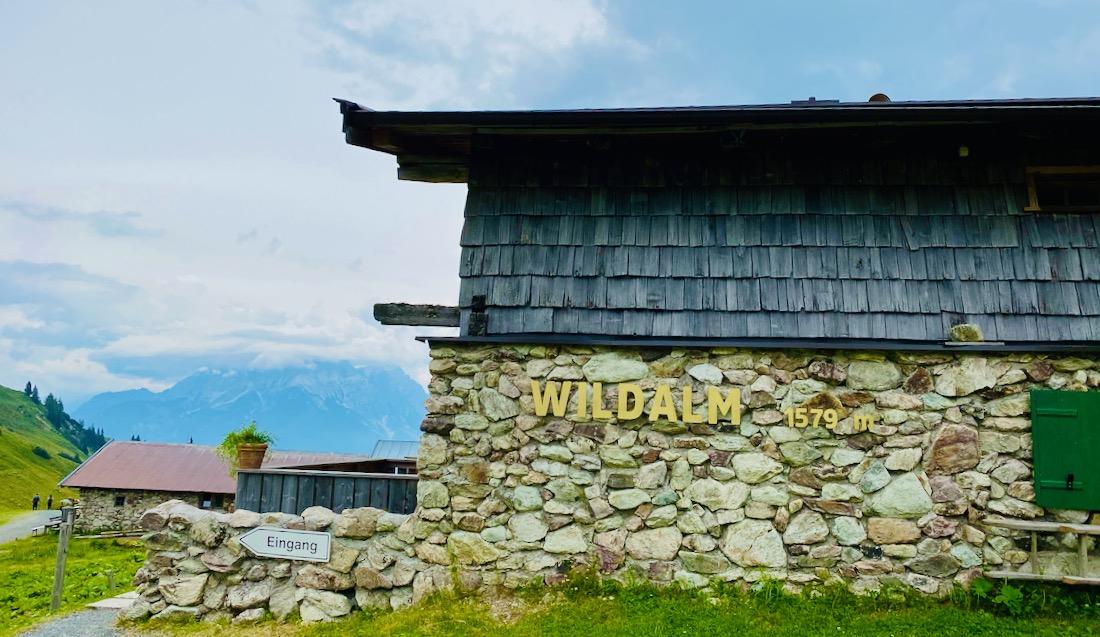 Wildalm Käserei in den Alpen
