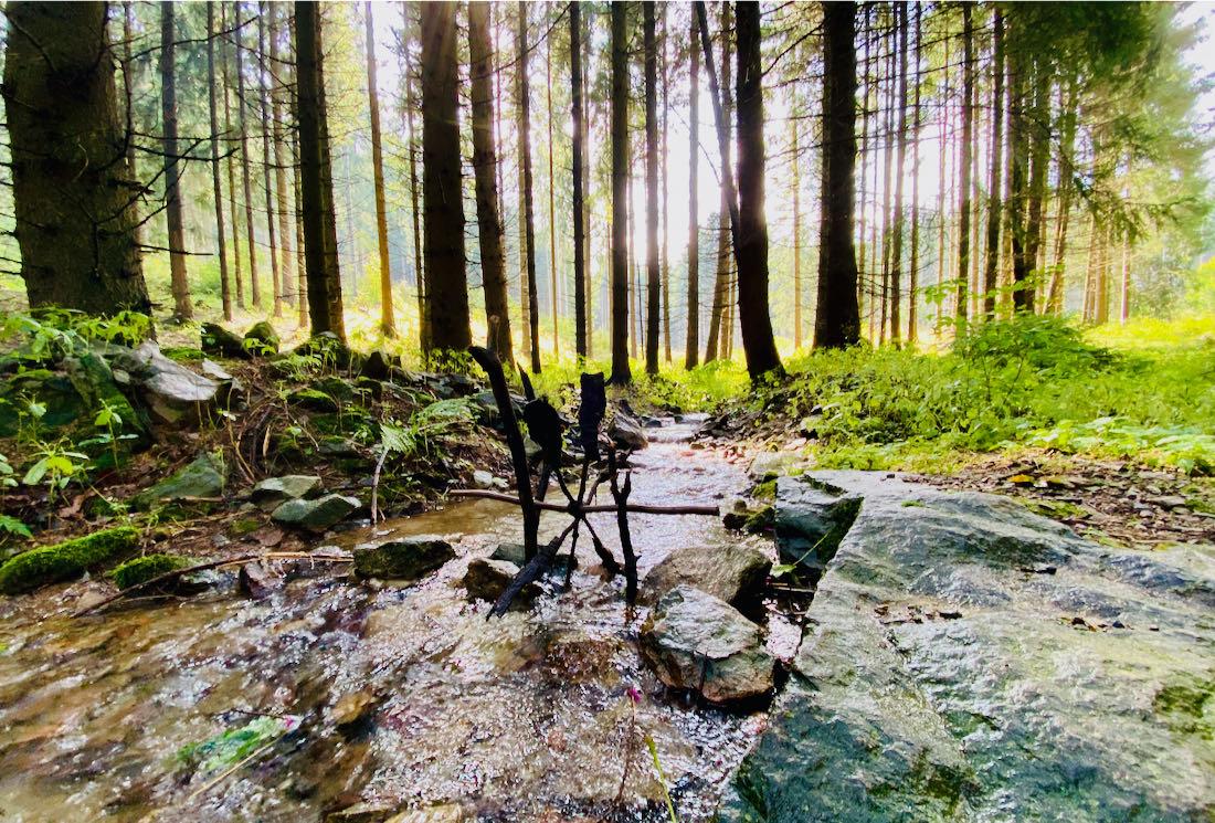 Wunderschöne Natur auf der Blockline