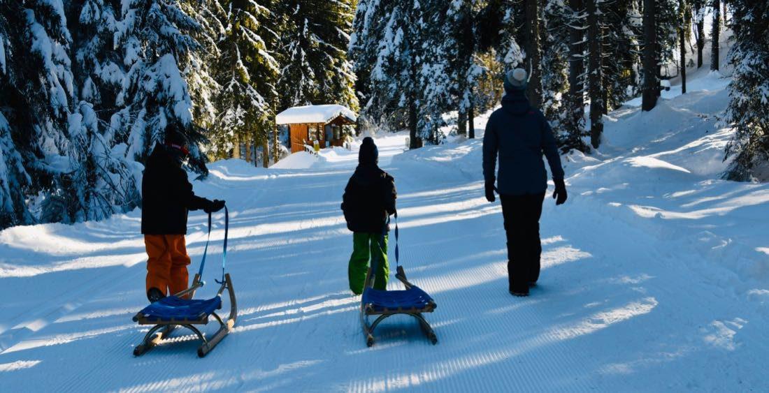 Im Winterwald am Weißensee